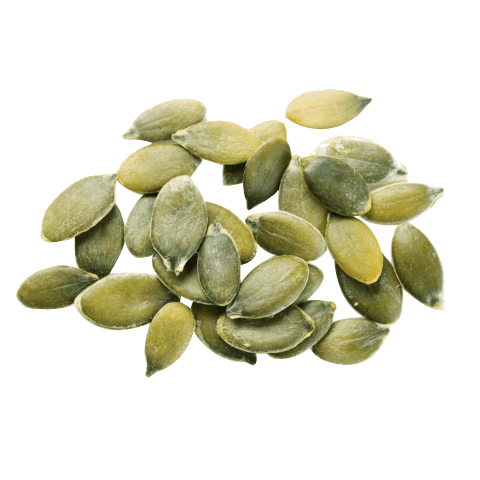 Pumpkin Seeds