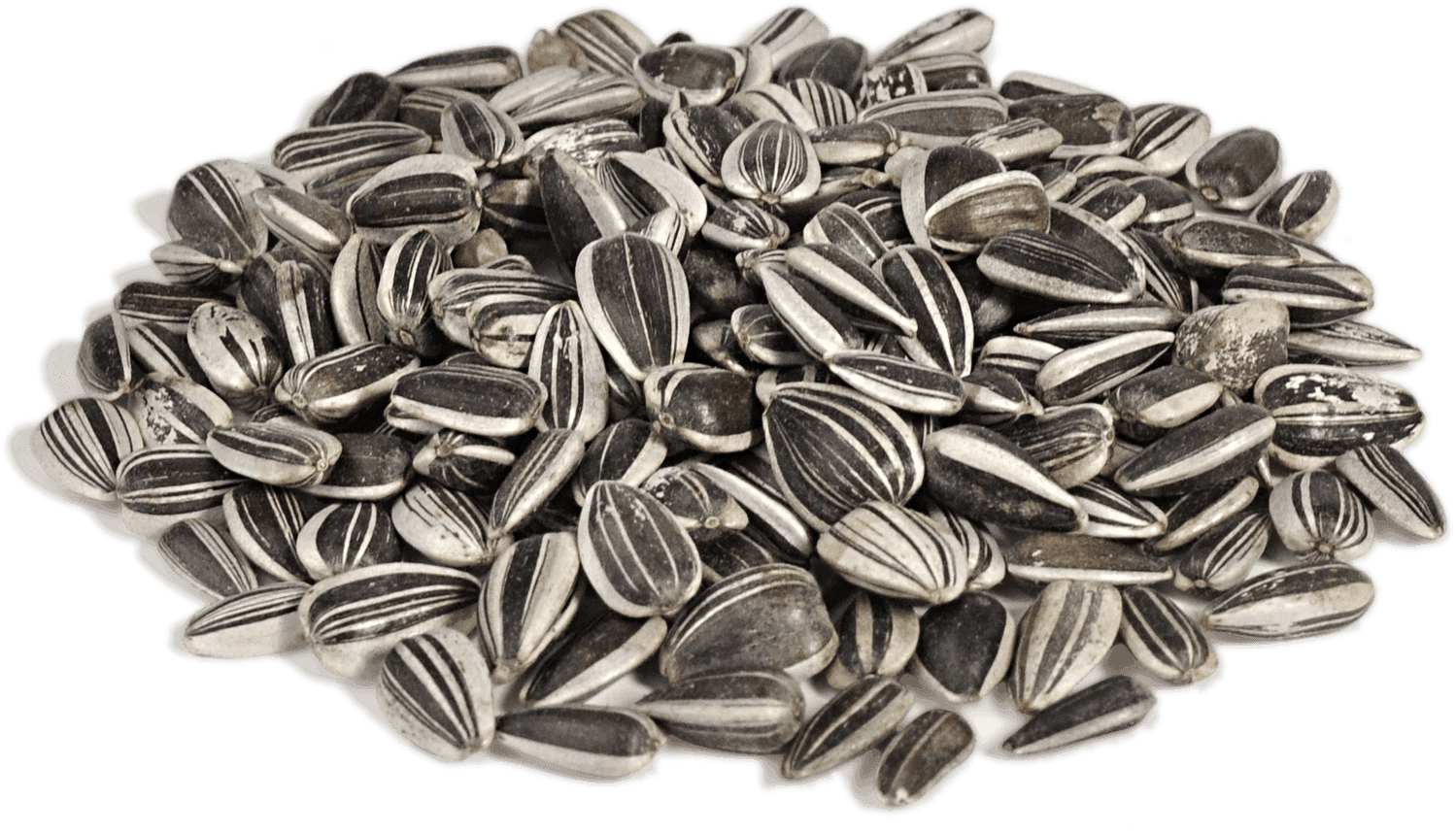 Sunflower Seeds