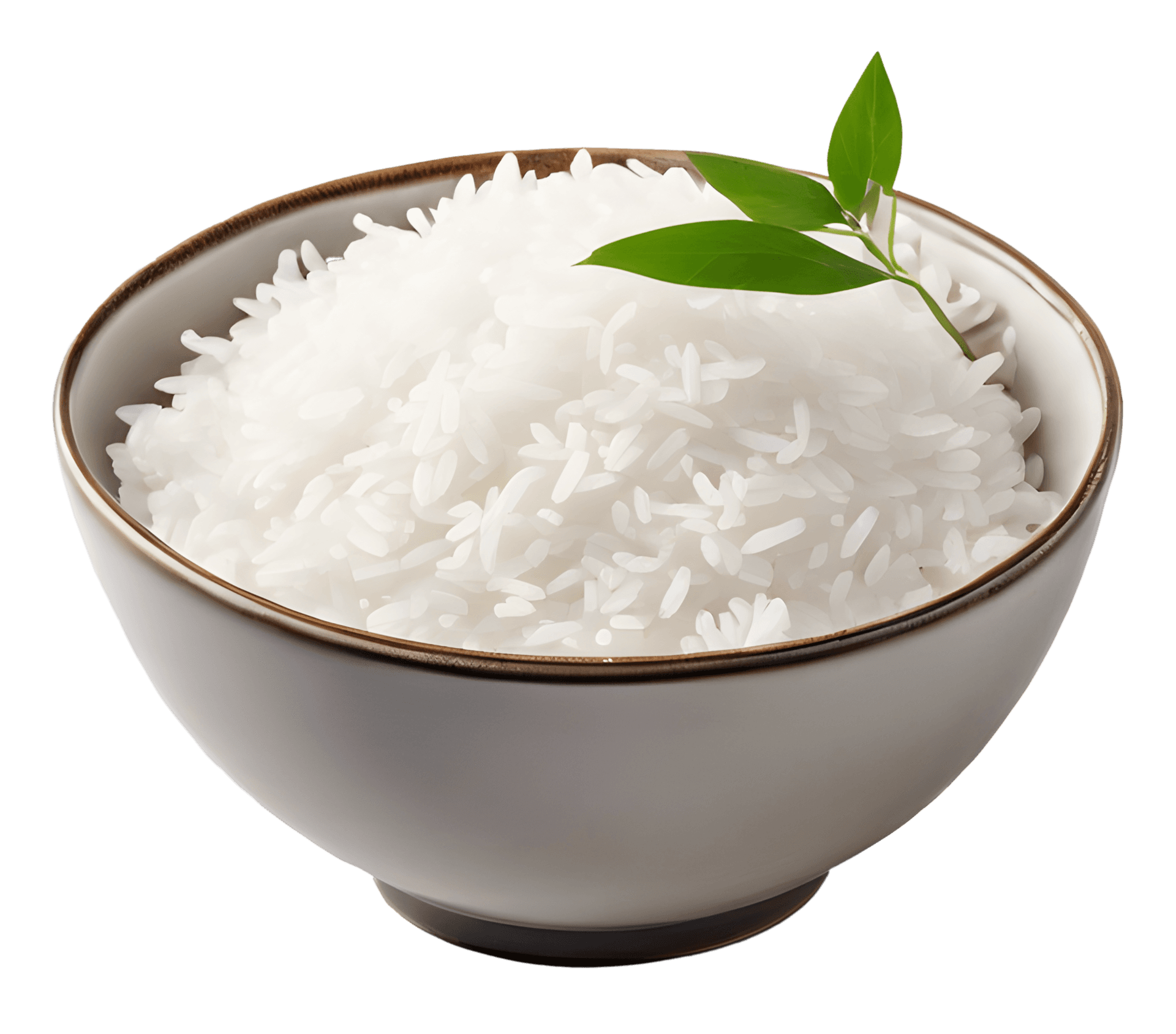 Jasmine White Rice