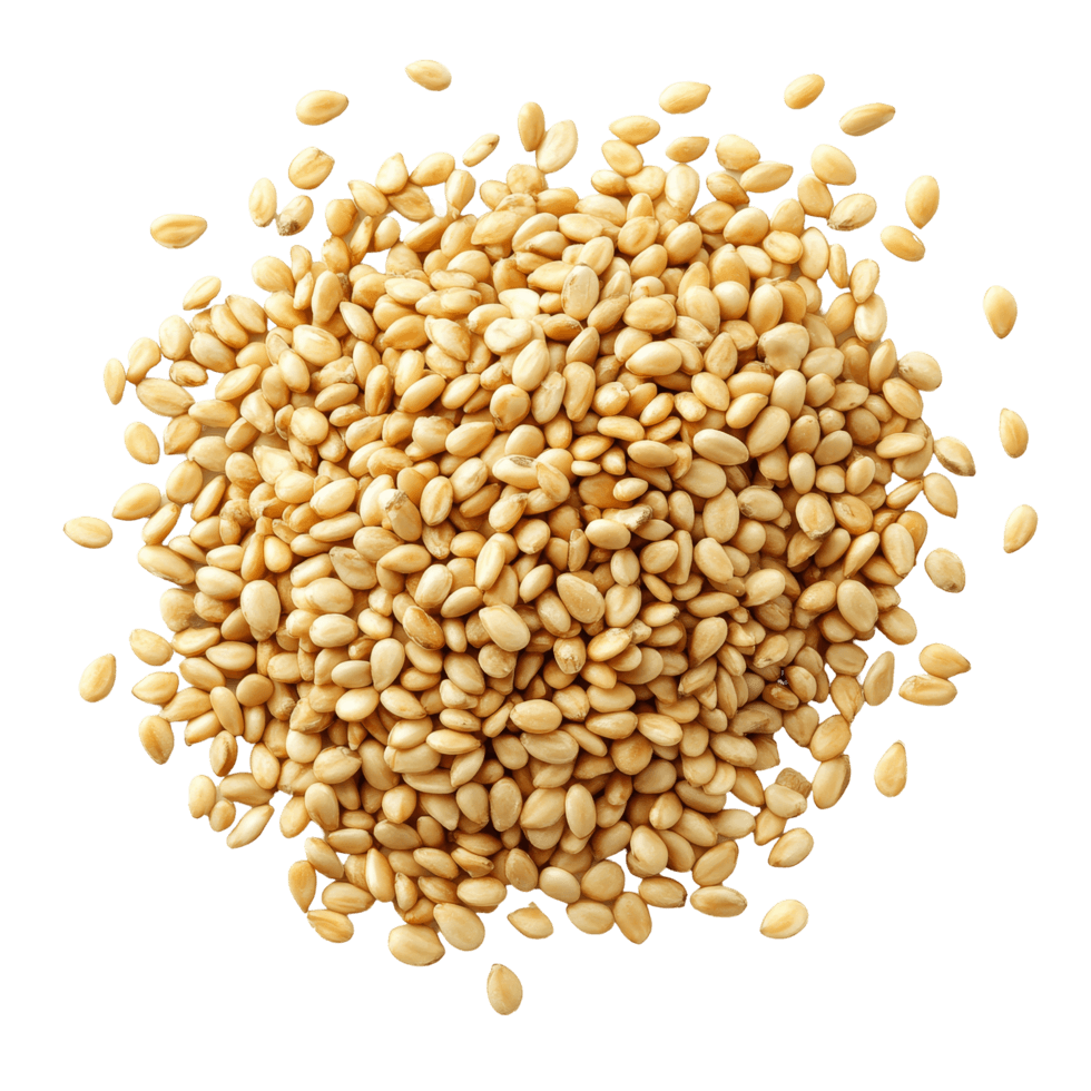Sesame Seeds