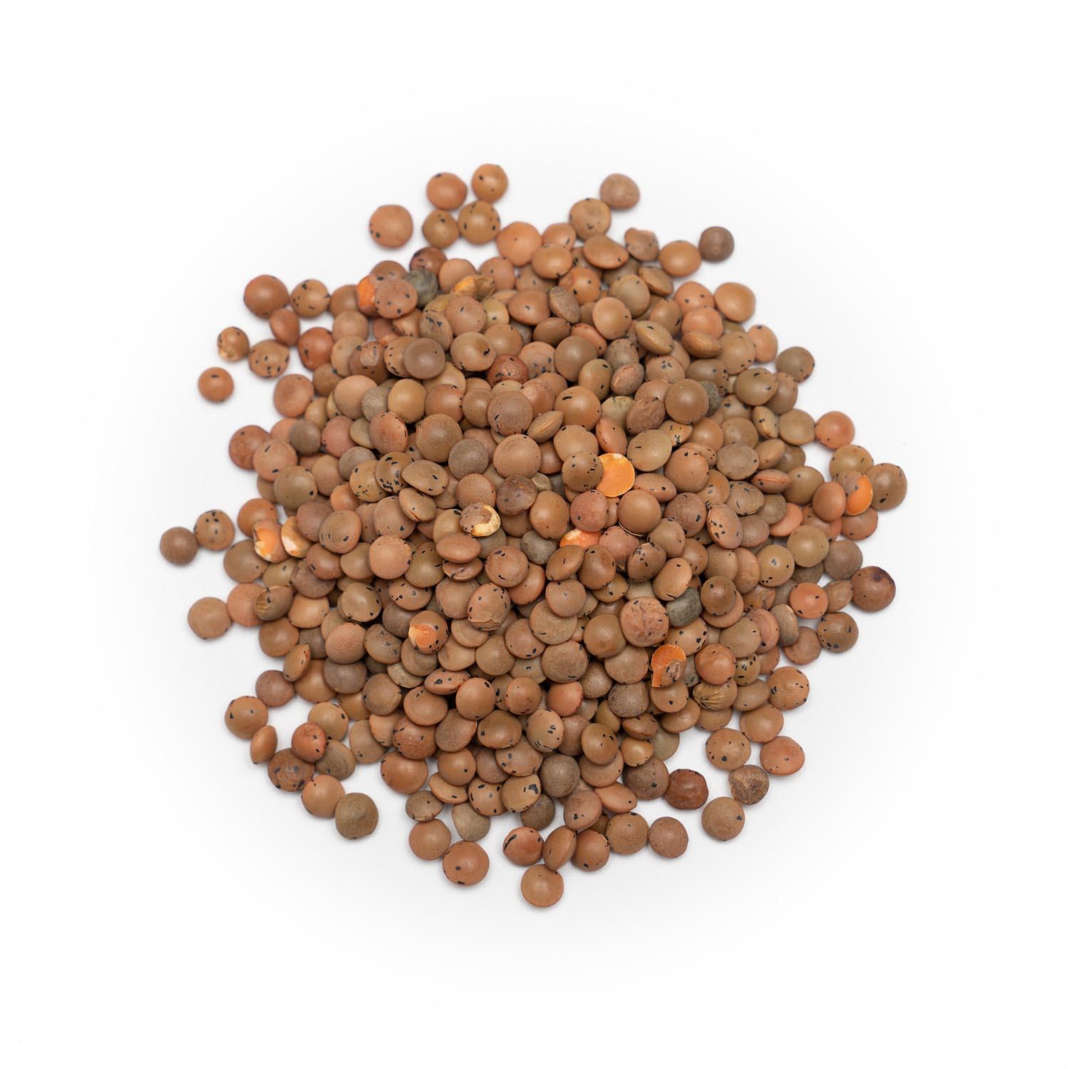 Brown Lentils