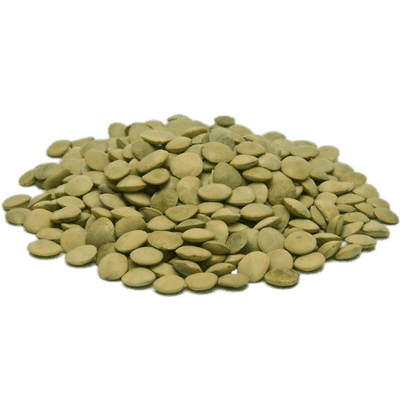 Green Lentils